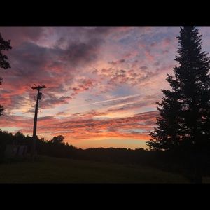 Meet your Posher, Bianca